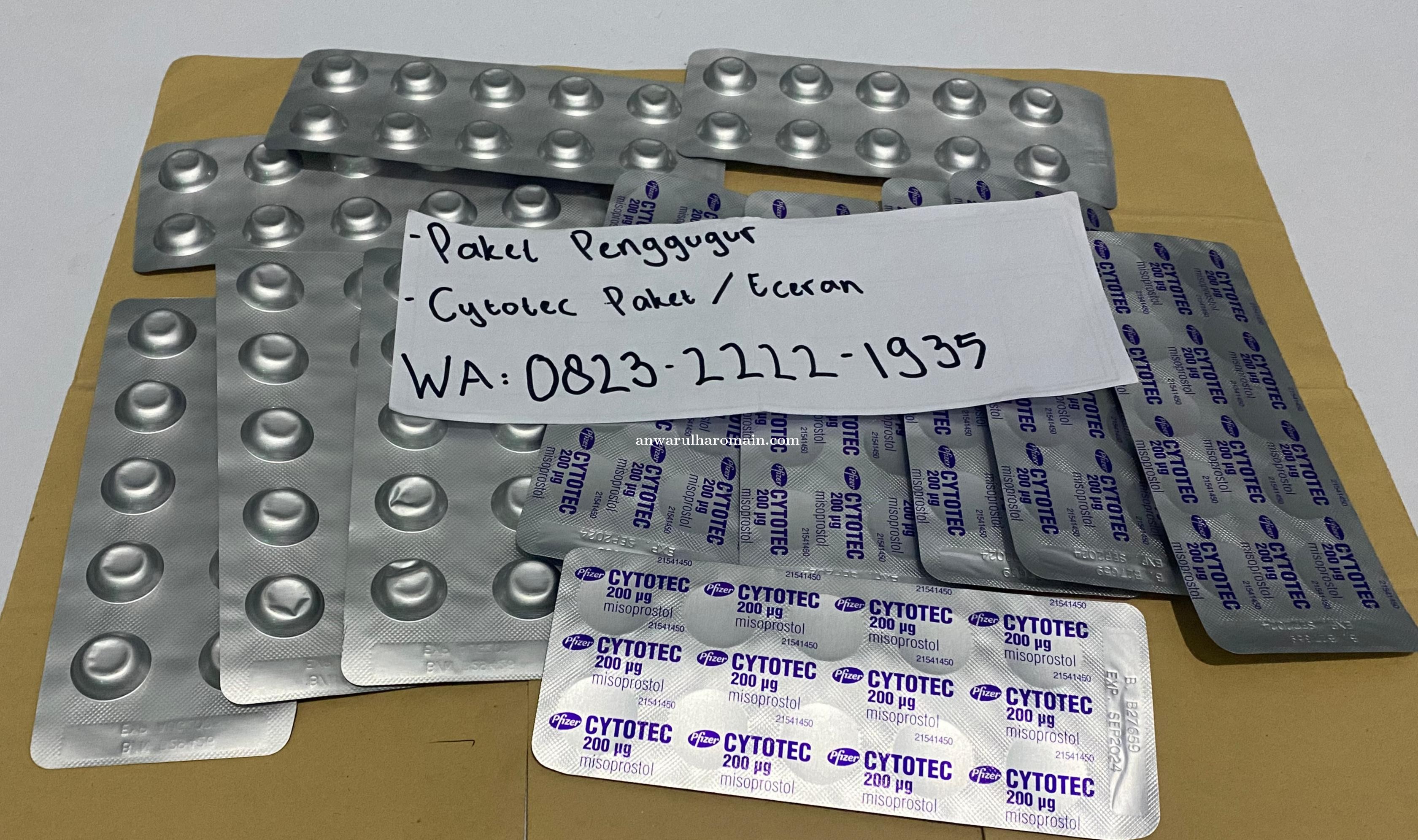 Tempat Jual Obat Aborsi Manjur Di Gianyar 0823.2222.1935 Penjual Jual Obat Aborsi Tanpa Kuret